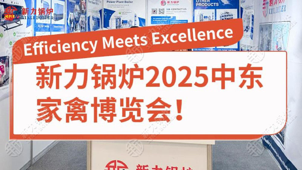 腾博tengbo锅炉2025中东家禽展览会!